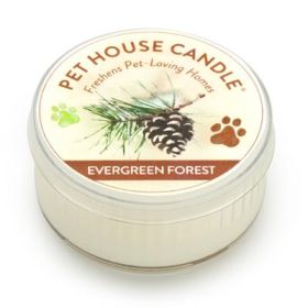 Pet House Mini Candle Evergreen Forest