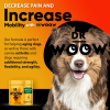 Dr Woow Hip and Joint Support Soft Chews