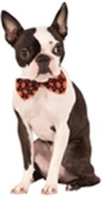 Rubies Halloween Argyle Bowtie