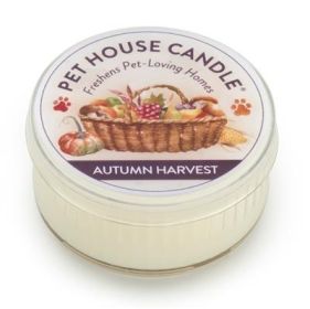 Autumn Harvest Mini Candles 12