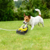 Dog Water Fountain Multifunctional Automatic Pet