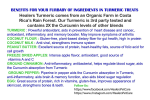 Healers Golden Turmeric Paste for Dogs