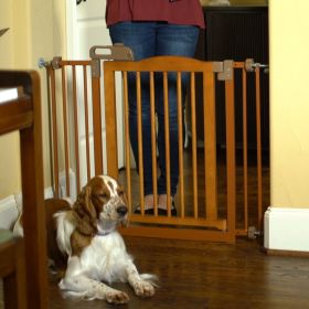 OneTouch Gate II in Brown