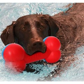 Bone Shaped Chew and Fetch Teether Dog Toy