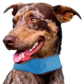 Summer-Cooling Adjustable Dog Neck Wrap