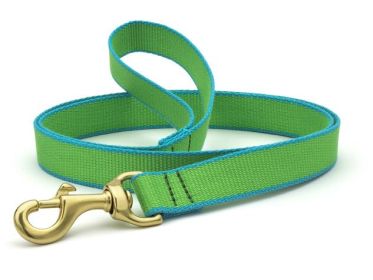 5'NARROW LIME/AQUA COLOR MARKET LEAD w/D-RING