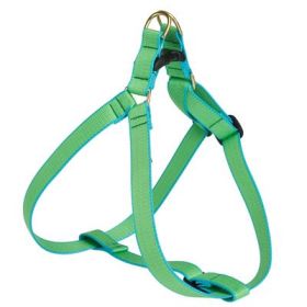 Lime & Aqua (Option: Color Mkt Collor Collection Harness Large (W))