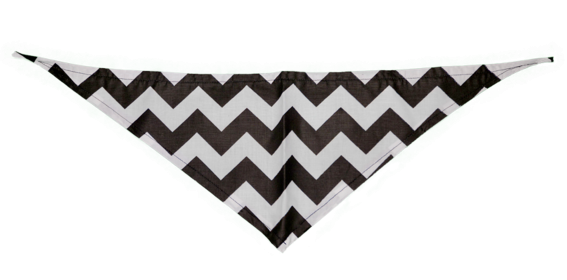 GG125FB|Pets Ribbons (Color: Black, size: small)