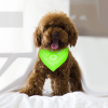 Adjustable Bandana Leather Pet Collar