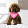 Adjustable Bandana Leather Pet Collar