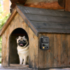 Ultrasonic Anti-Barking Device Rechargeable Auto Dog Bark