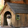 Ultrasonic Anti-Barking Device Rechargeable Auto Dog Bark