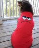Angry Face Dog Shirt
