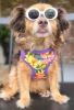 Wrap and Snap Choke Free Dog Harness by Doggie Design